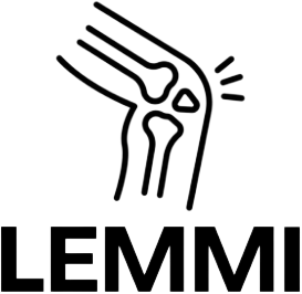 Logo LEMMI